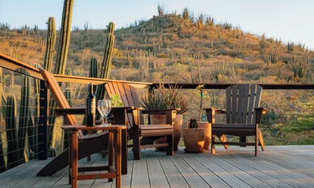 Nature View Jamanota Aruba