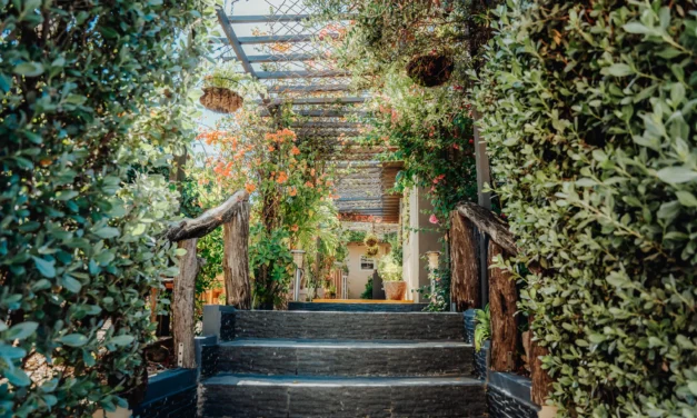 Hotel RH Boutique Aruba