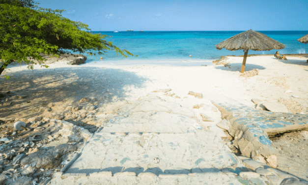 Best Snorkeling Spots in Aruba 2026