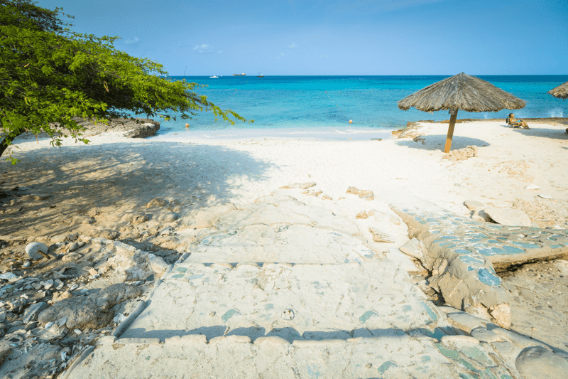 Best Snorkeling Spots in Aruba 2026