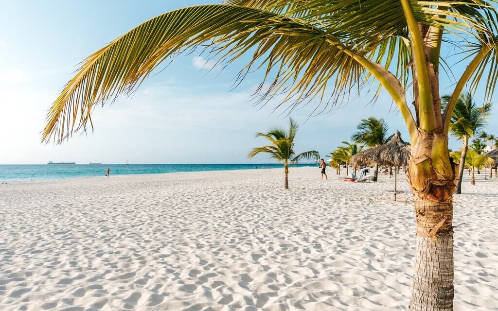 Arashi Beach Aruba: Complete Guide 2026