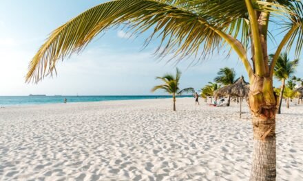 Arashi Beach Aruba: Complete Guide 2026