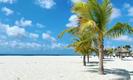 Manchebo Beach Aruba: Complete Guide