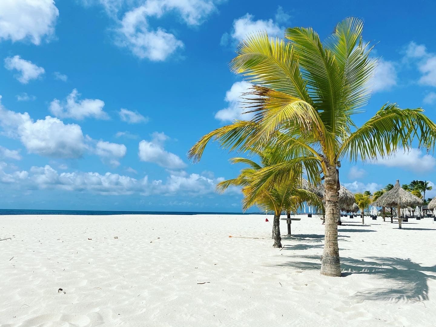 Manchebo Aruba