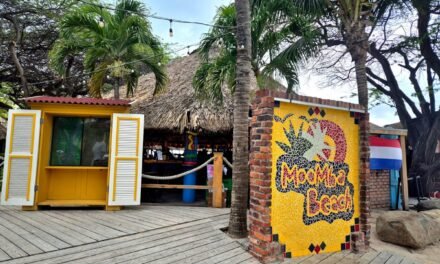 MooMba Beach Bar & Restaurant Aruba: Palm Beach Vibes Done Right