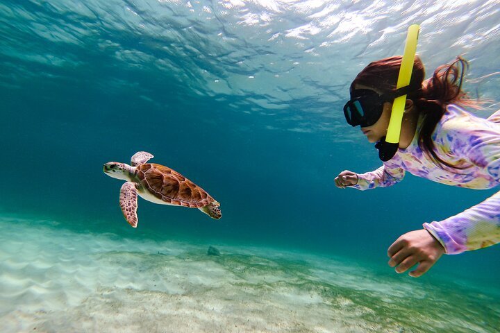Coral Ocean Aruba Aruba — tours and excursions