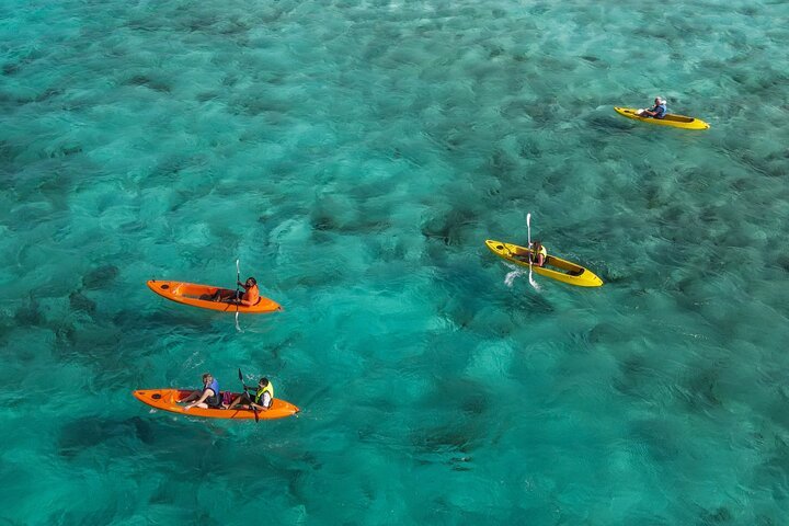 Come & Enjoy Watersport Aruba — tours and excursions