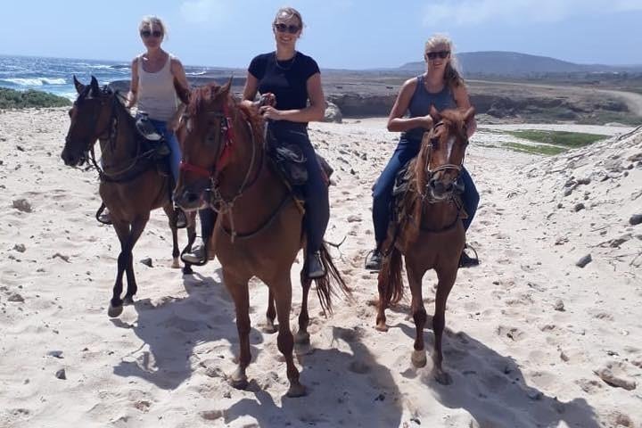 Rancho Notorious Enterprises NV Aruba — tours and excursions