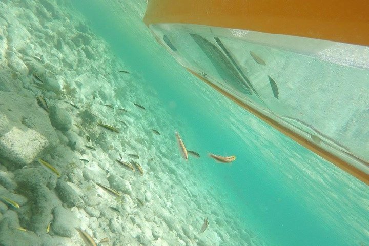 Clear Kayak Aruba Aruba — tours and excursions