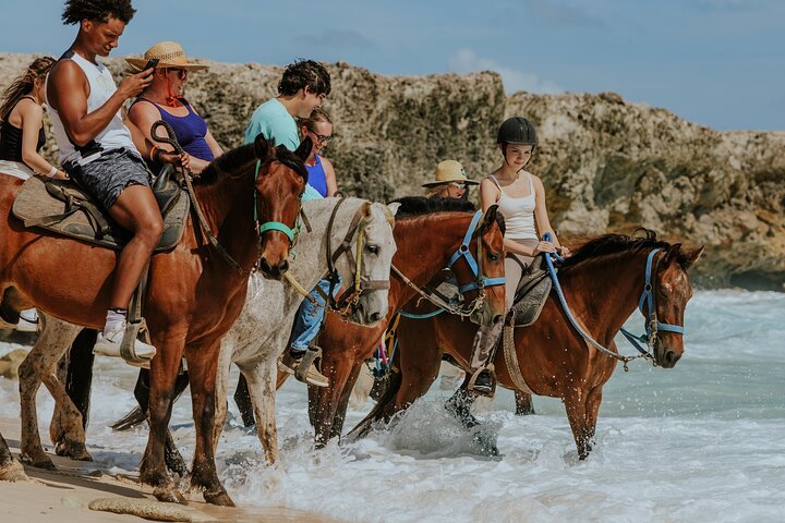 The Gold Mine Ranch Horseback Riding Tours Aruba — tours and excursions