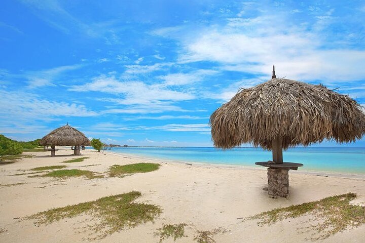 AGW TOURS  ARUBA Aruba — tours and excursions