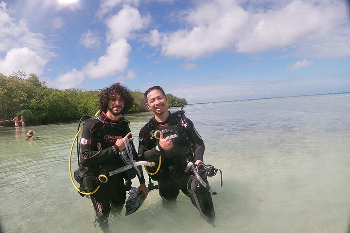Nautilus Dive Center Aruba Aruba — tours and excursions