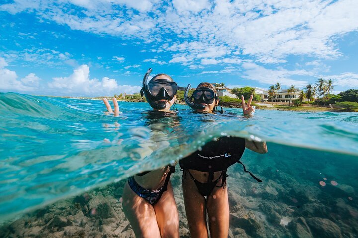 Pelican Aruba Aruba — tours and excursions