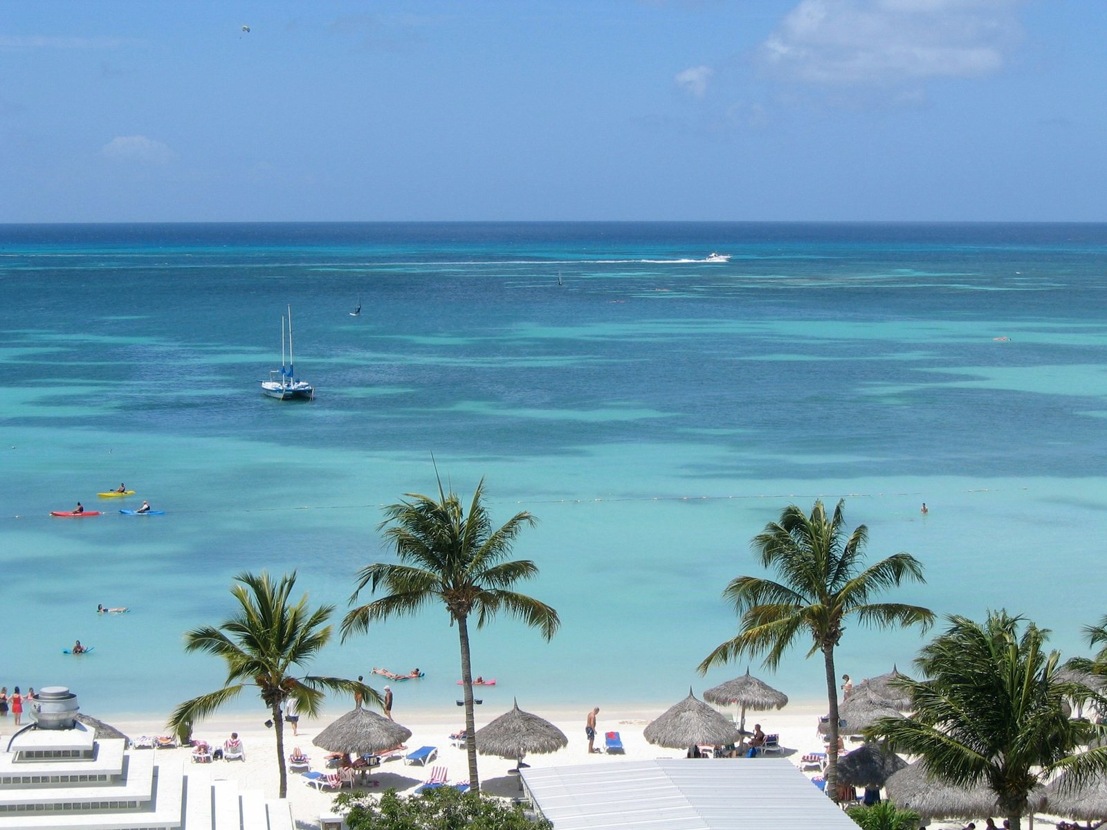 Eagle Beach Aruba fofoti trees