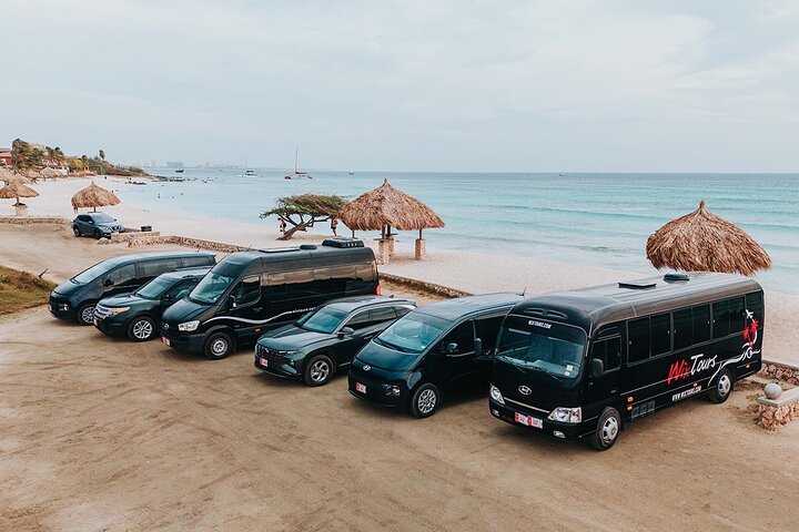 Wix Tours & Transfers Aruba — tours and excursions