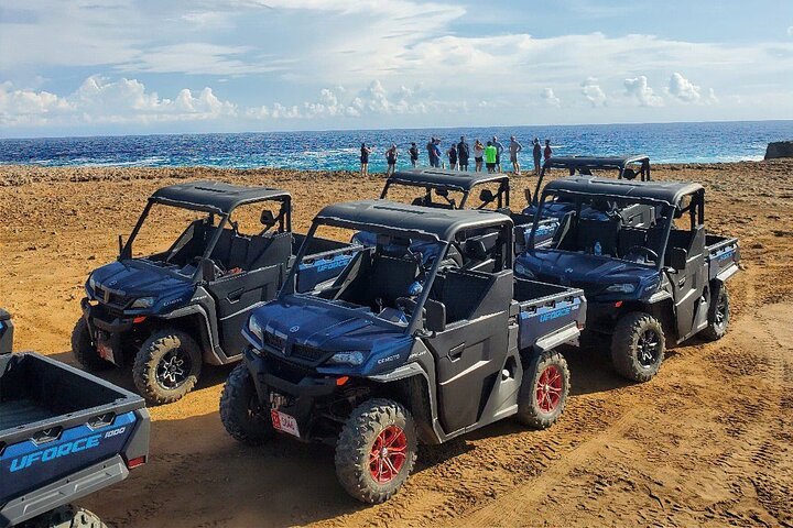 Fofoti Tours & Transfers Aruba — tours and excursions