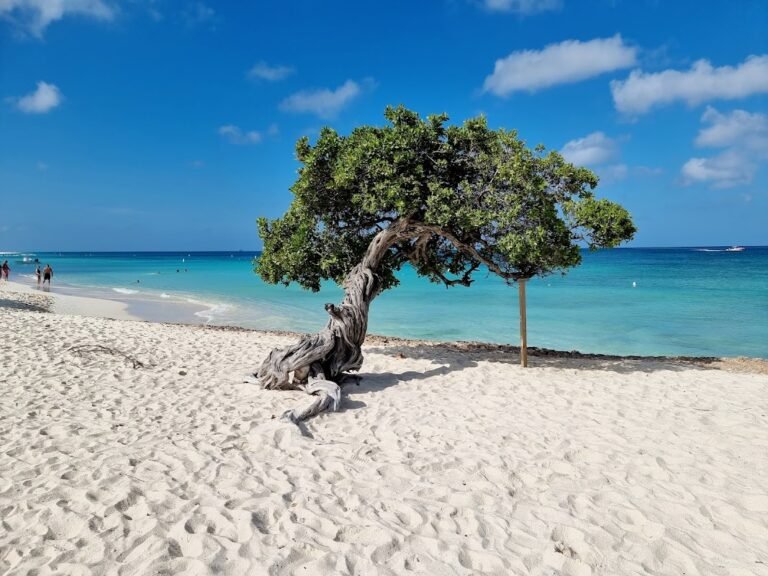 Aruba in December 2026: New Year's Eve + Peak Season Guide ...