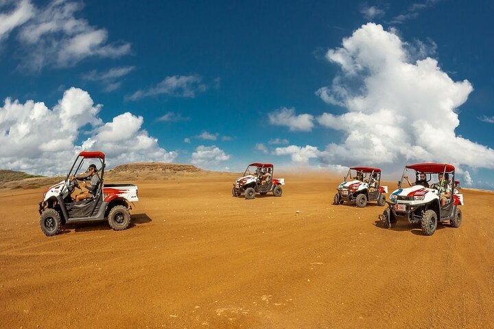 Aruba Ariba Tours Aruba — tours and excursions