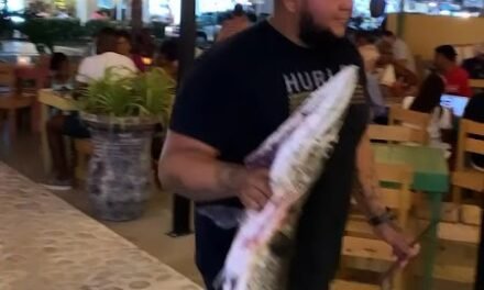 Fisherman’s Hut Aruba: Fresh Seafood on Palm Beach (2026 Guide)