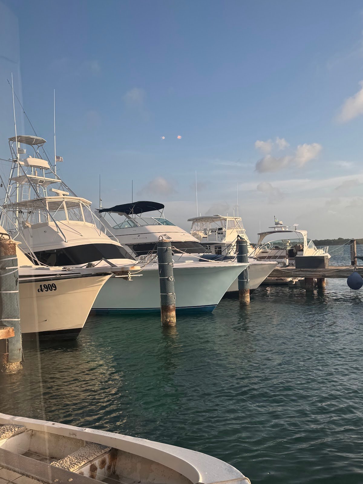 Fish House Island Bar & Restaurant dining experience