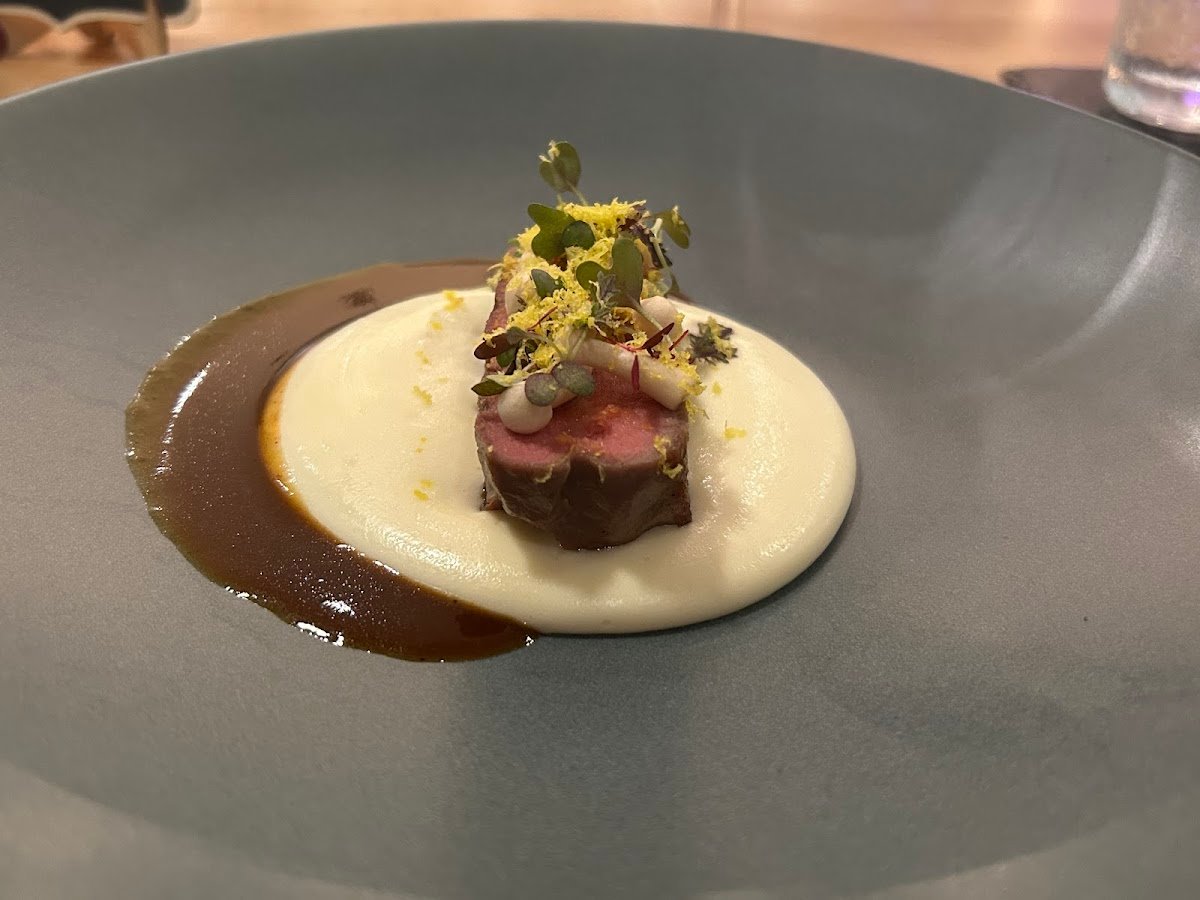 KOAL Restaurant dining experience