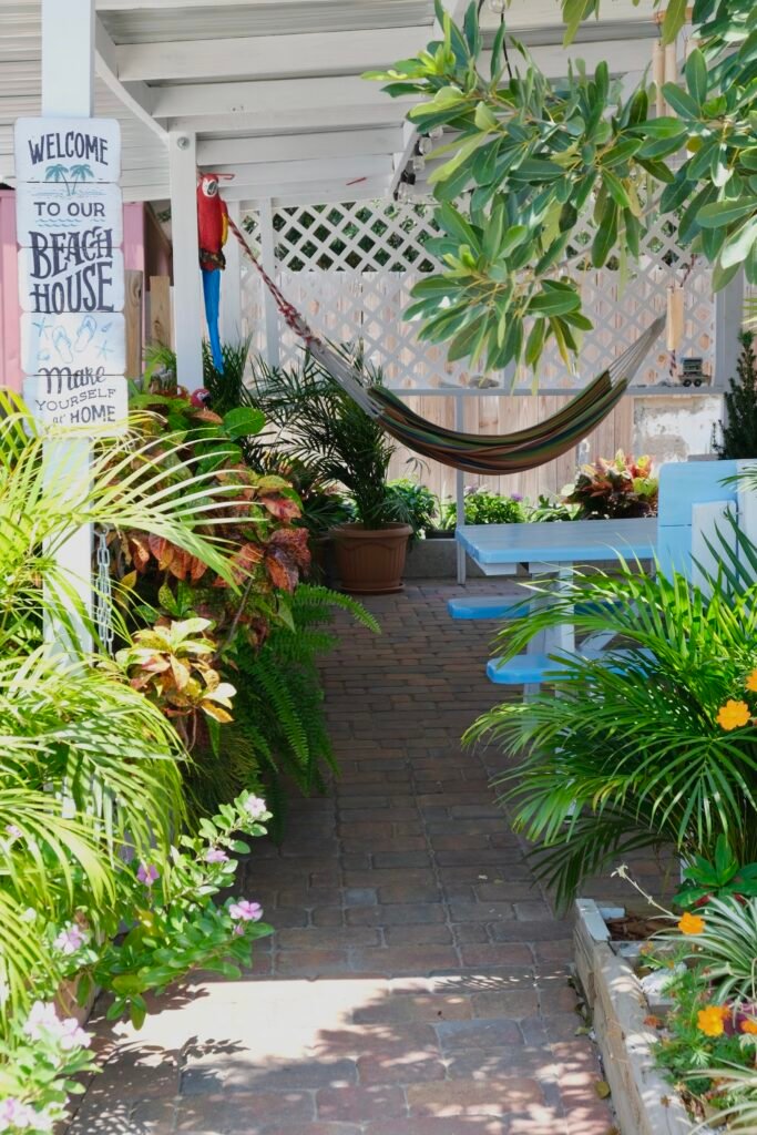 Mauchi Smoothies Aruba