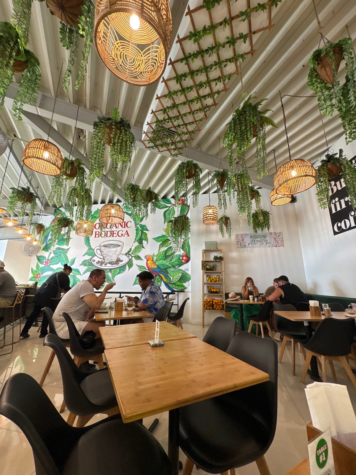 Organic Bodega Café dining experience
