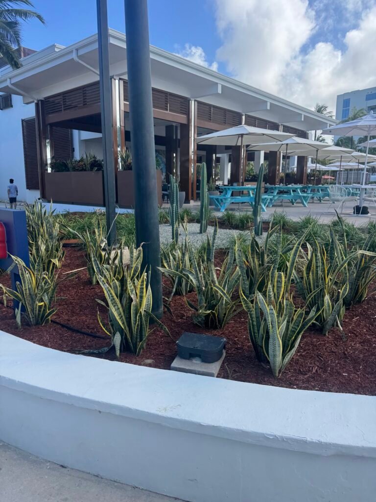 Shore Club Aruba