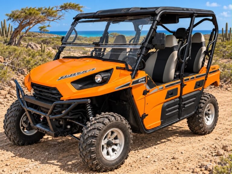 Kawasaki Teryx4 UTV rental in Aruba