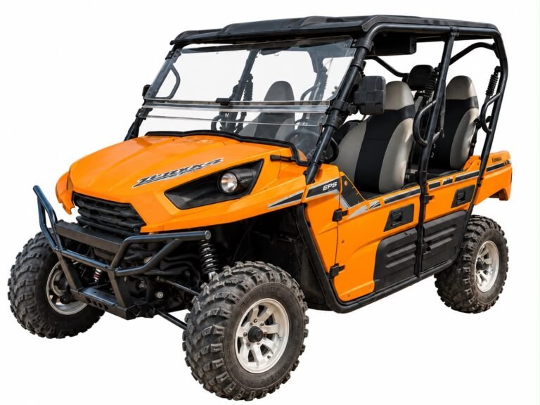 Kawasaki Teryx4 UTV rental in Aruba