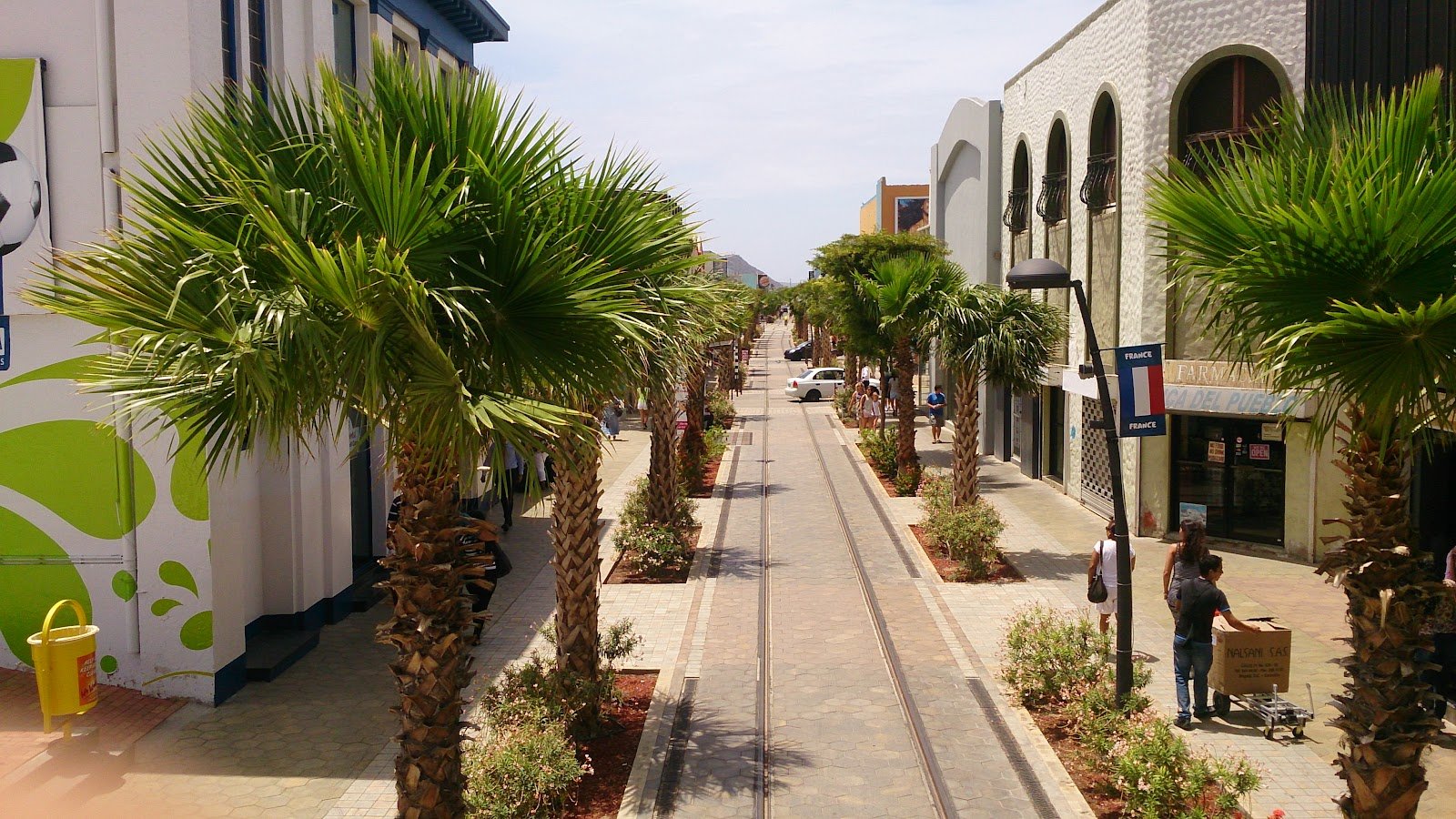 Main Street in Oranjestad, Aruba, lined with palms and shopfronts