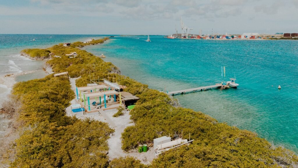 Aerial view of a private reef island in Aruba with a wooden pier and palapa